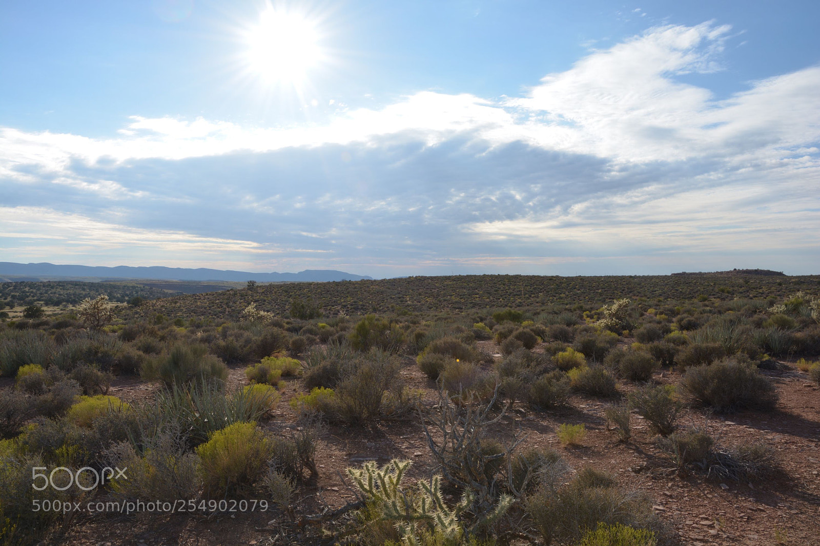 Nikon D5200 sample photo. Desert photography