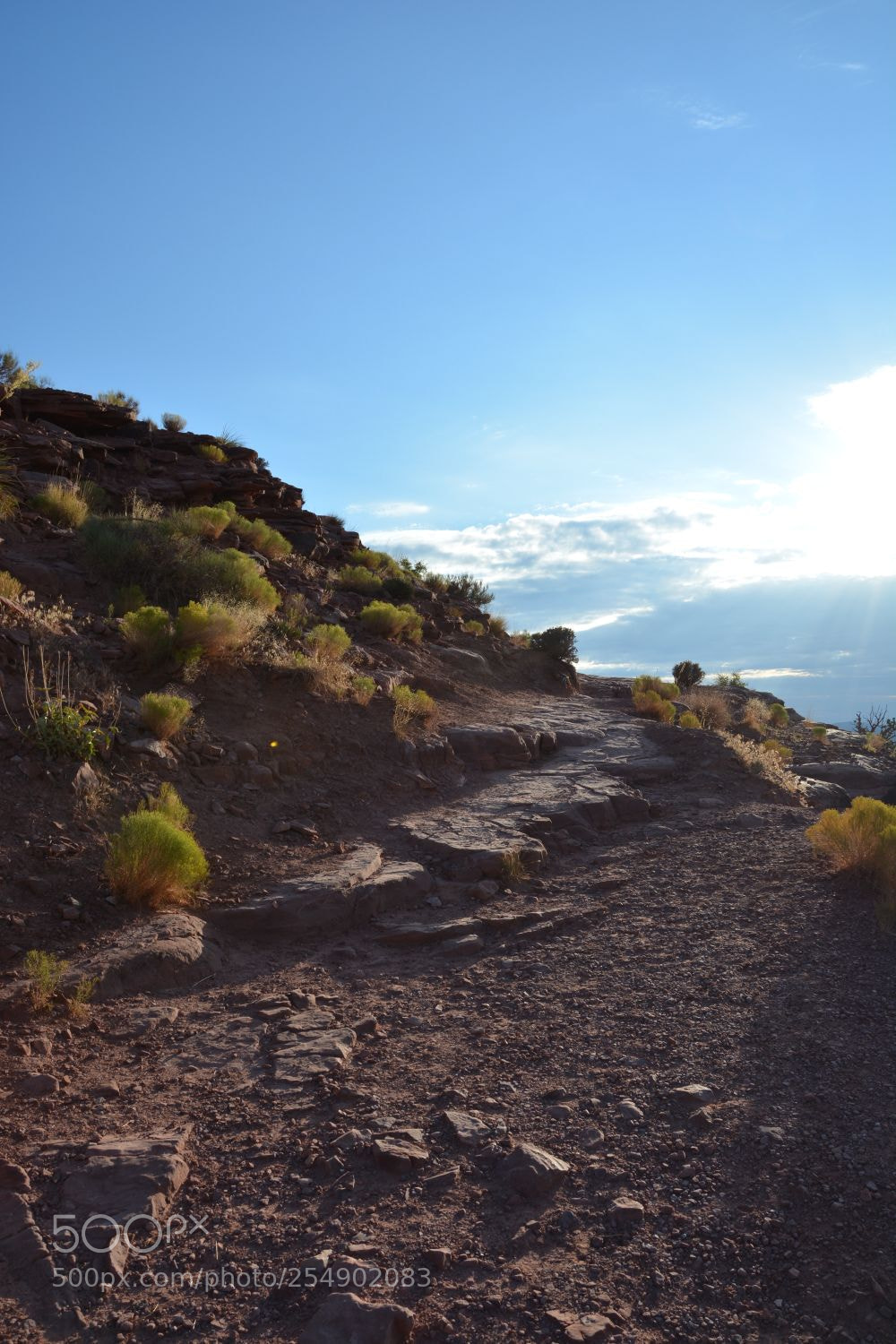 Nikon D5200 sample photo. Desert photography
