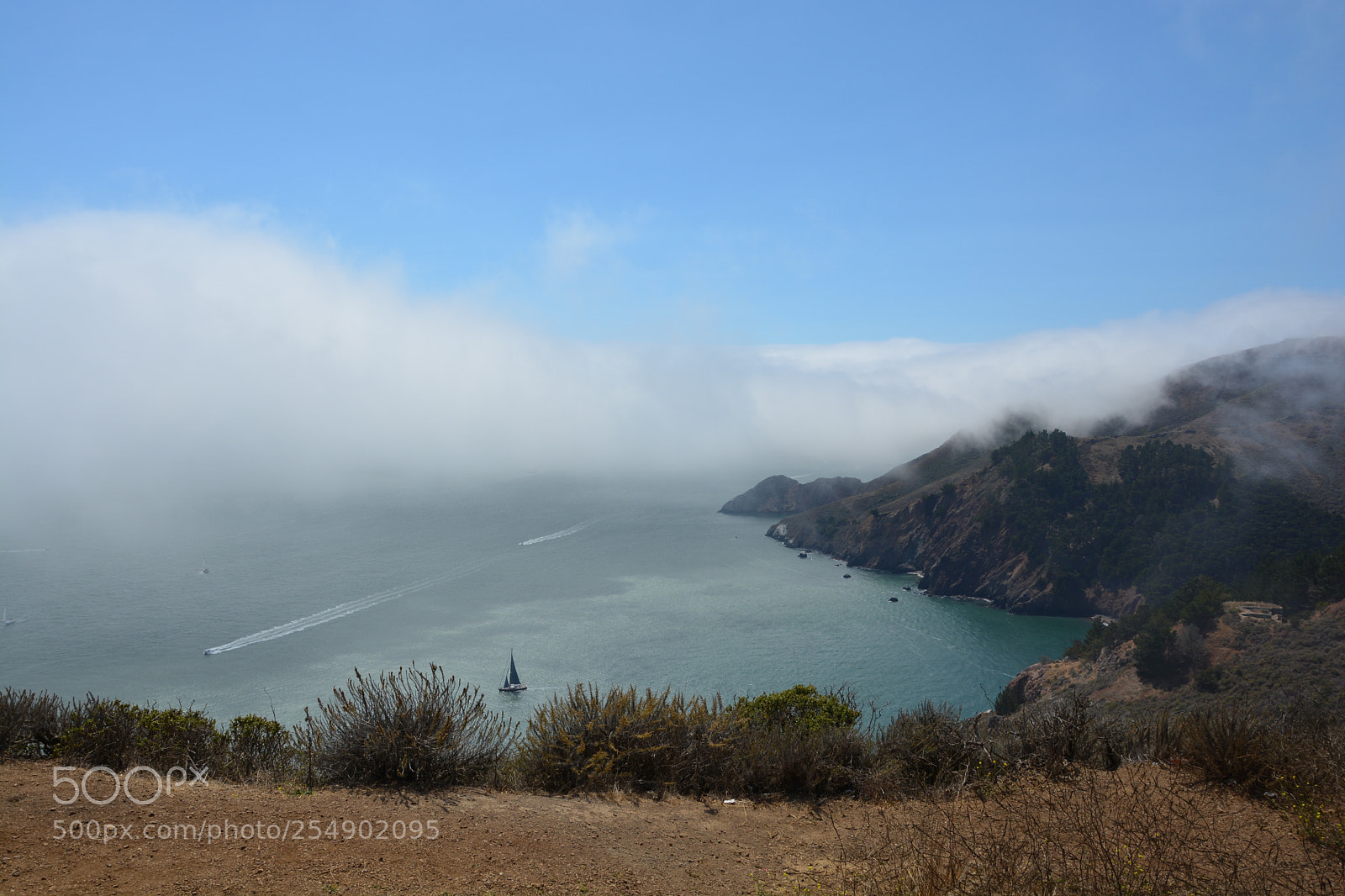 Nikon D5200 sample photo. Bay photography