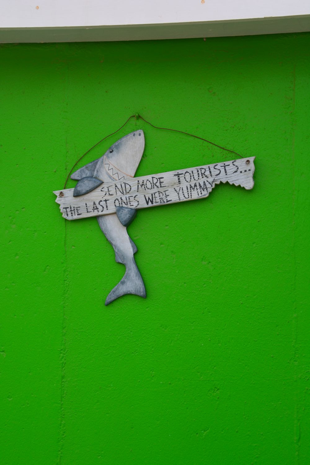 Nikon D5200 sample photo. Shark photography