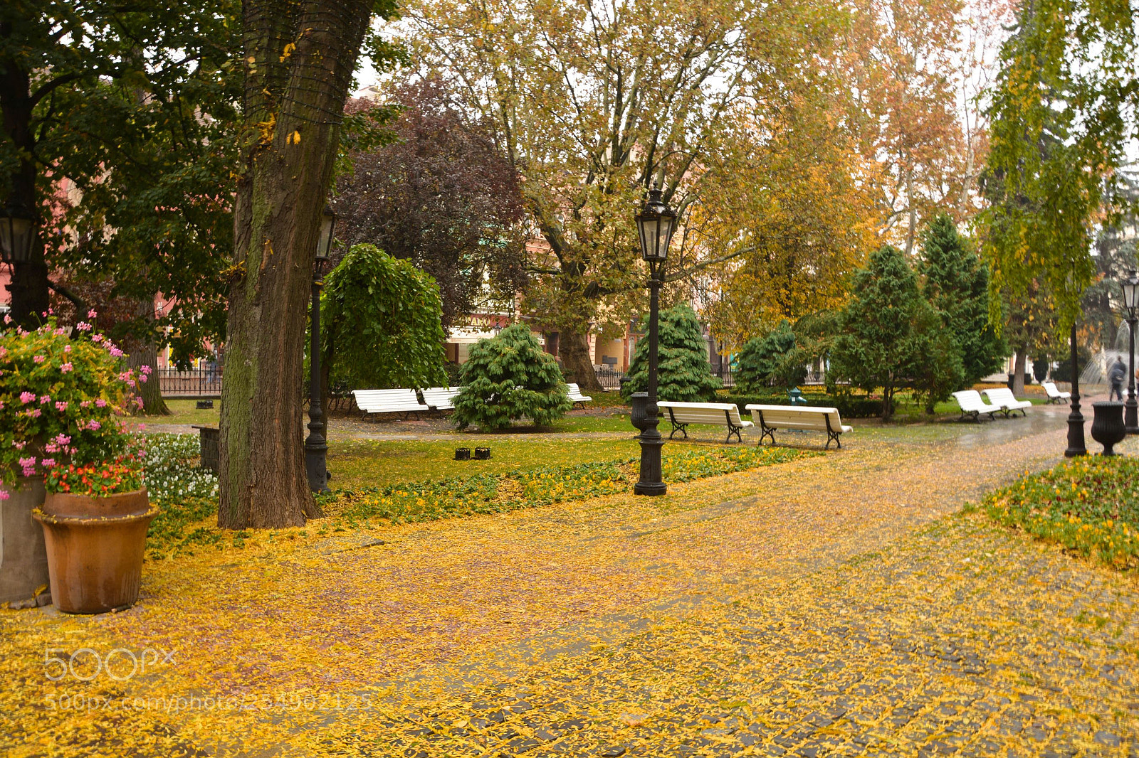 Nikon D5200 sample photo. Kassa main square photography