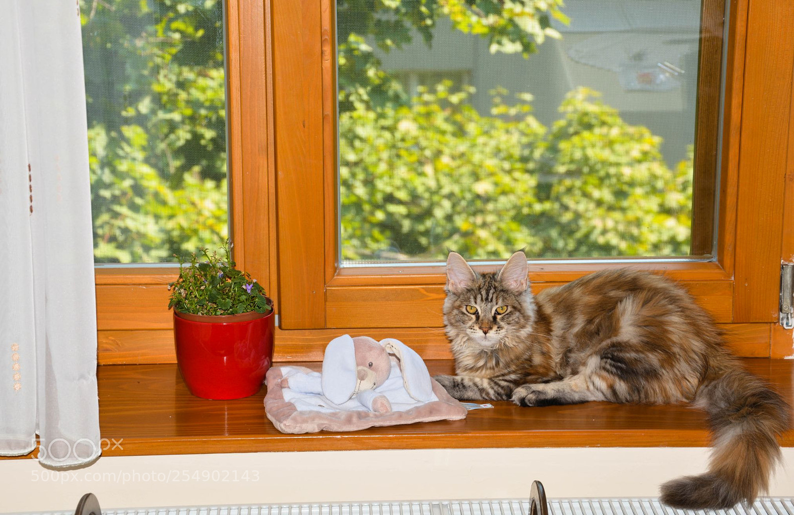 Nikon D5200 sample photo. Tamina and bunny photography