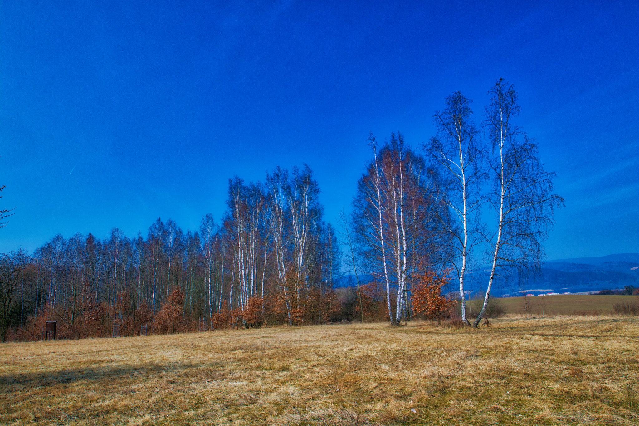 Canon EOS 77D (EOS 9000D / EOS 770D) sample photo. Nat314 photography