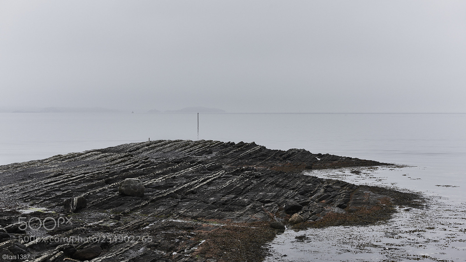 Nikon D810 sample photo. Into the fog photography
