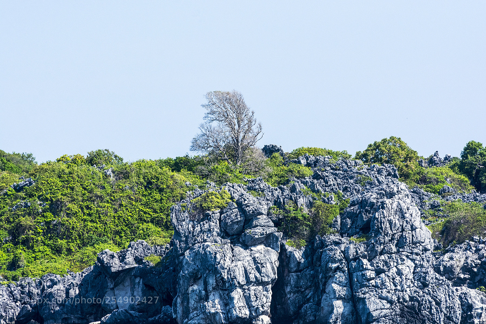 Nikon D7100 sample photo. Amn_0765 photography