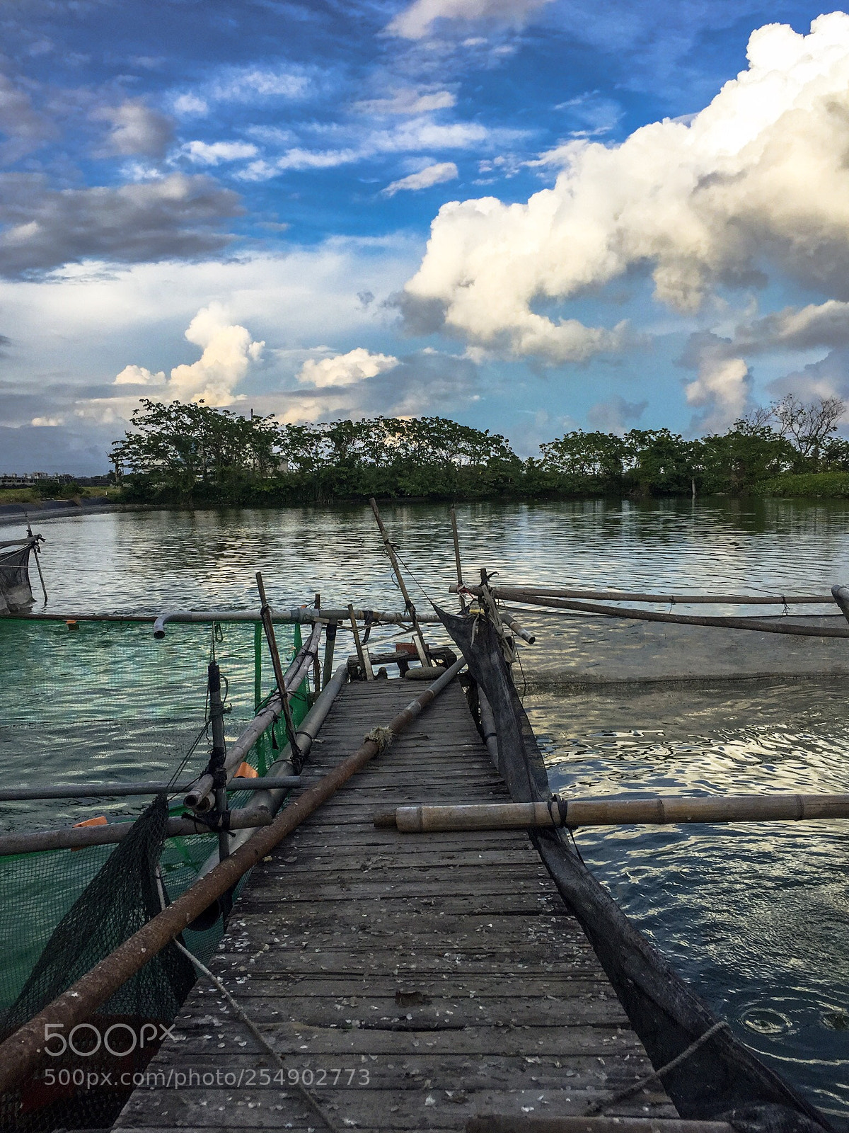 Apple iPhone 6 sample photo. Fish pond  photography