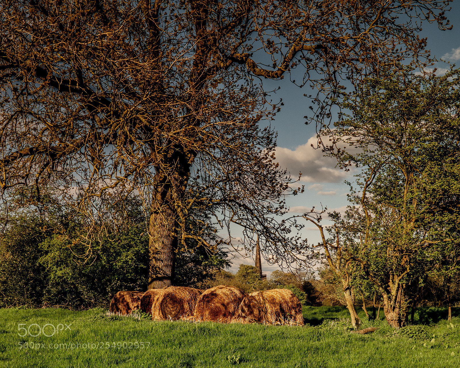 Sony ILCA-77M2 sample photo. Hay bales photography