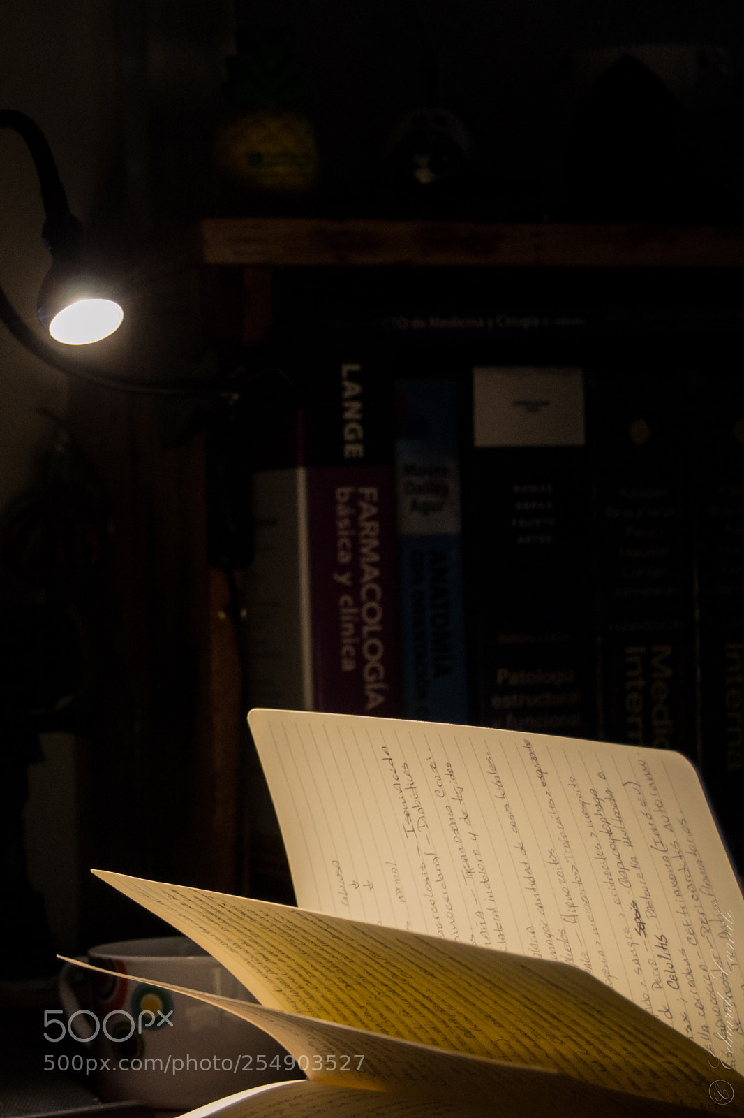 Nikon D3100 sample photo. Ec photography
