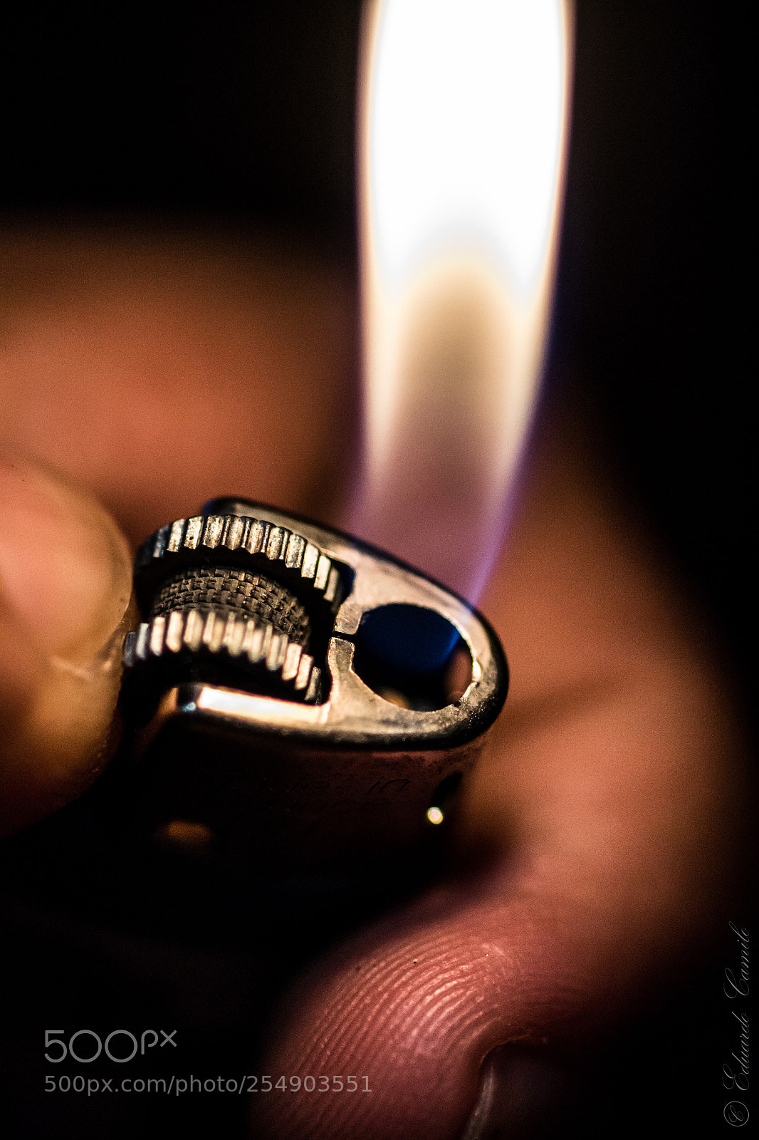 Nikon D3100 sample photo. Ec photography