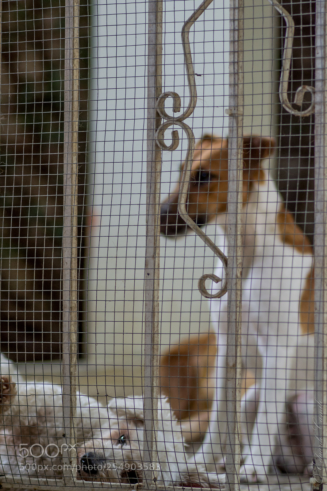Nikon D3100 sample photo. Ec photography
