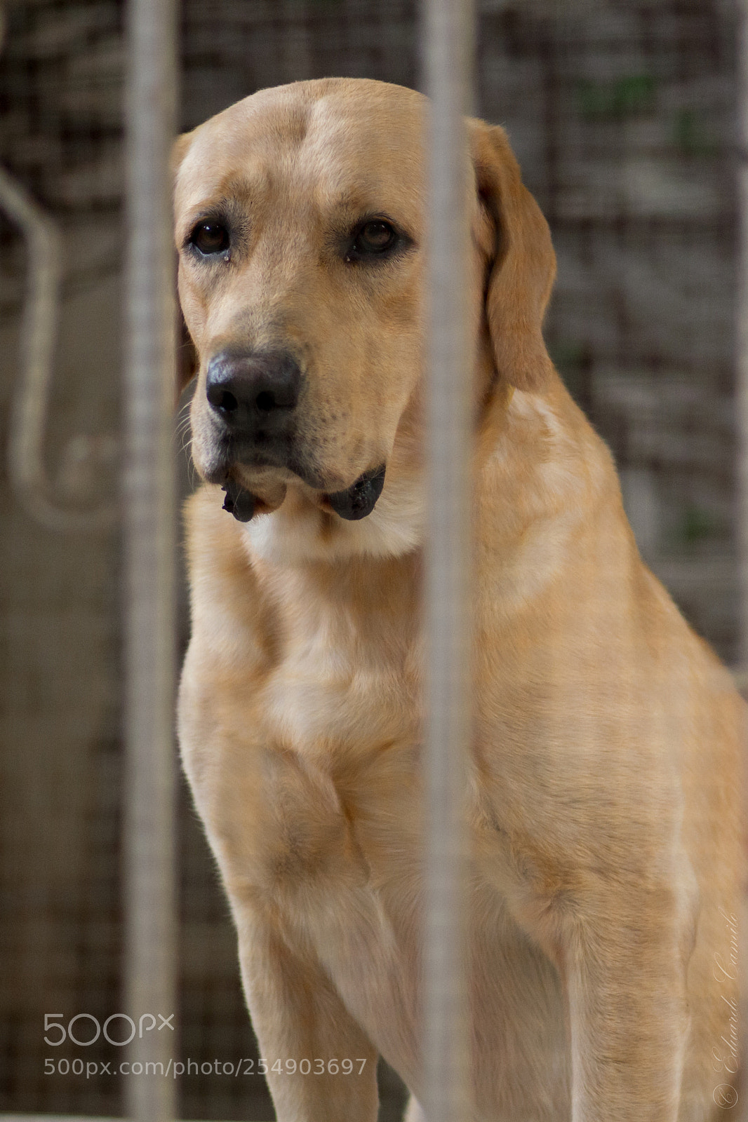 Nikon D3100 sample photo. Ec photography