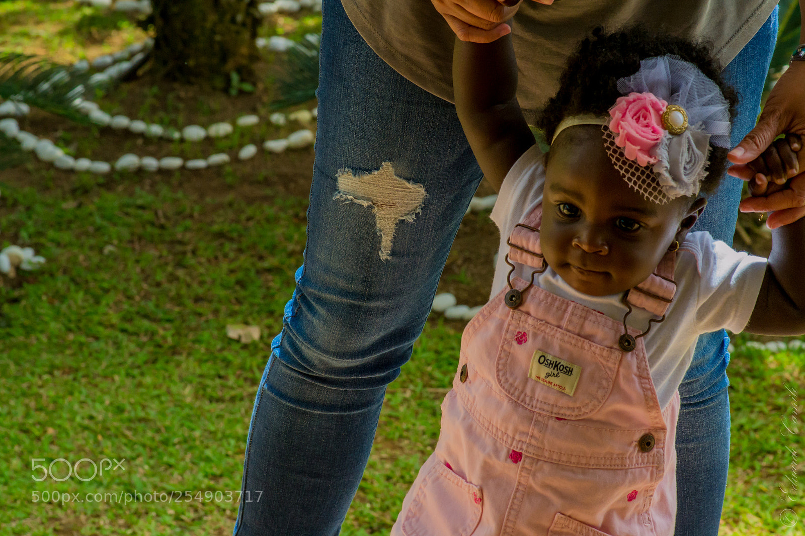 Nikon D3100 sample photo. Ec photography