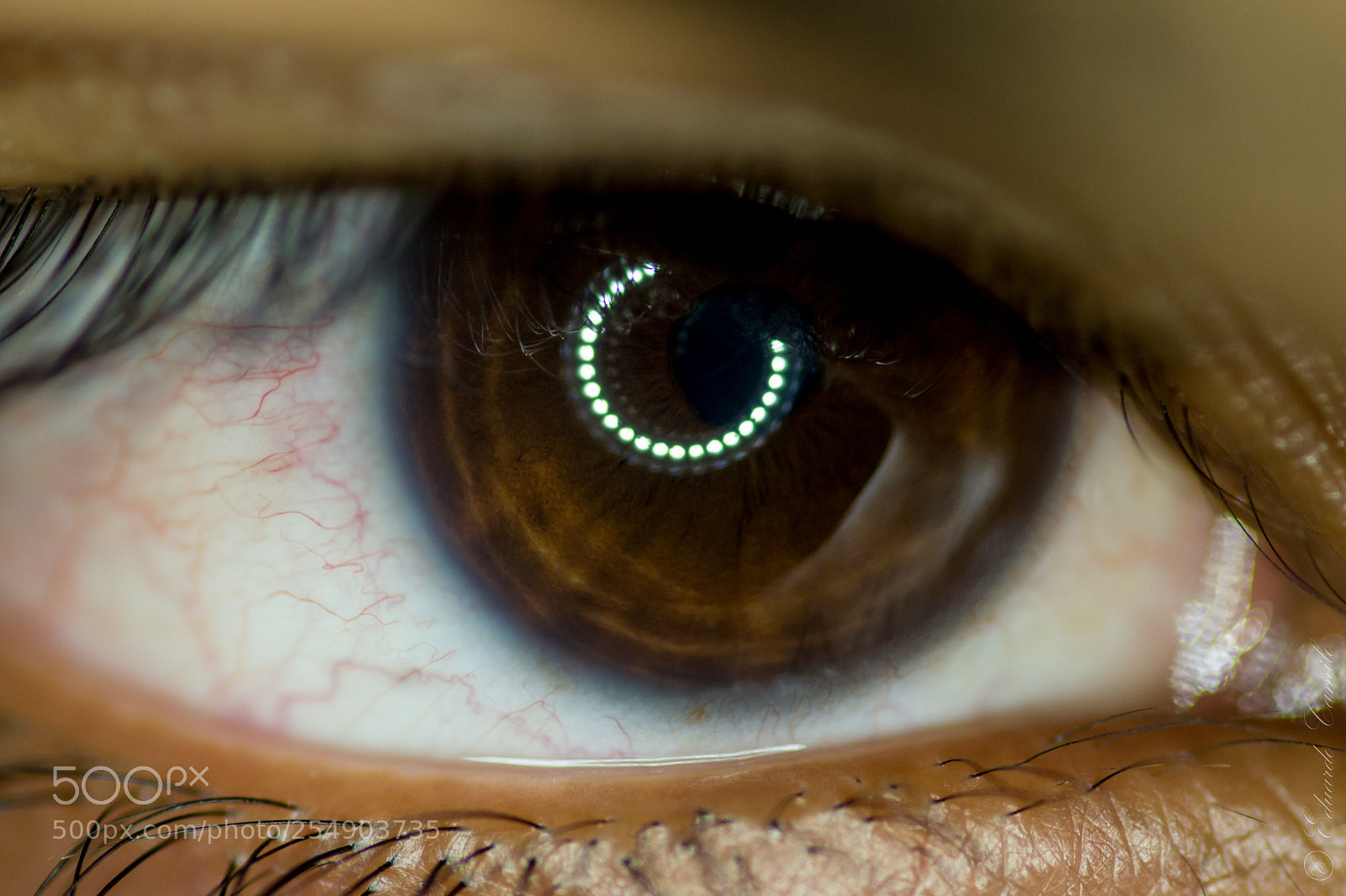 Nikon D3100 sample photo. Ec photography