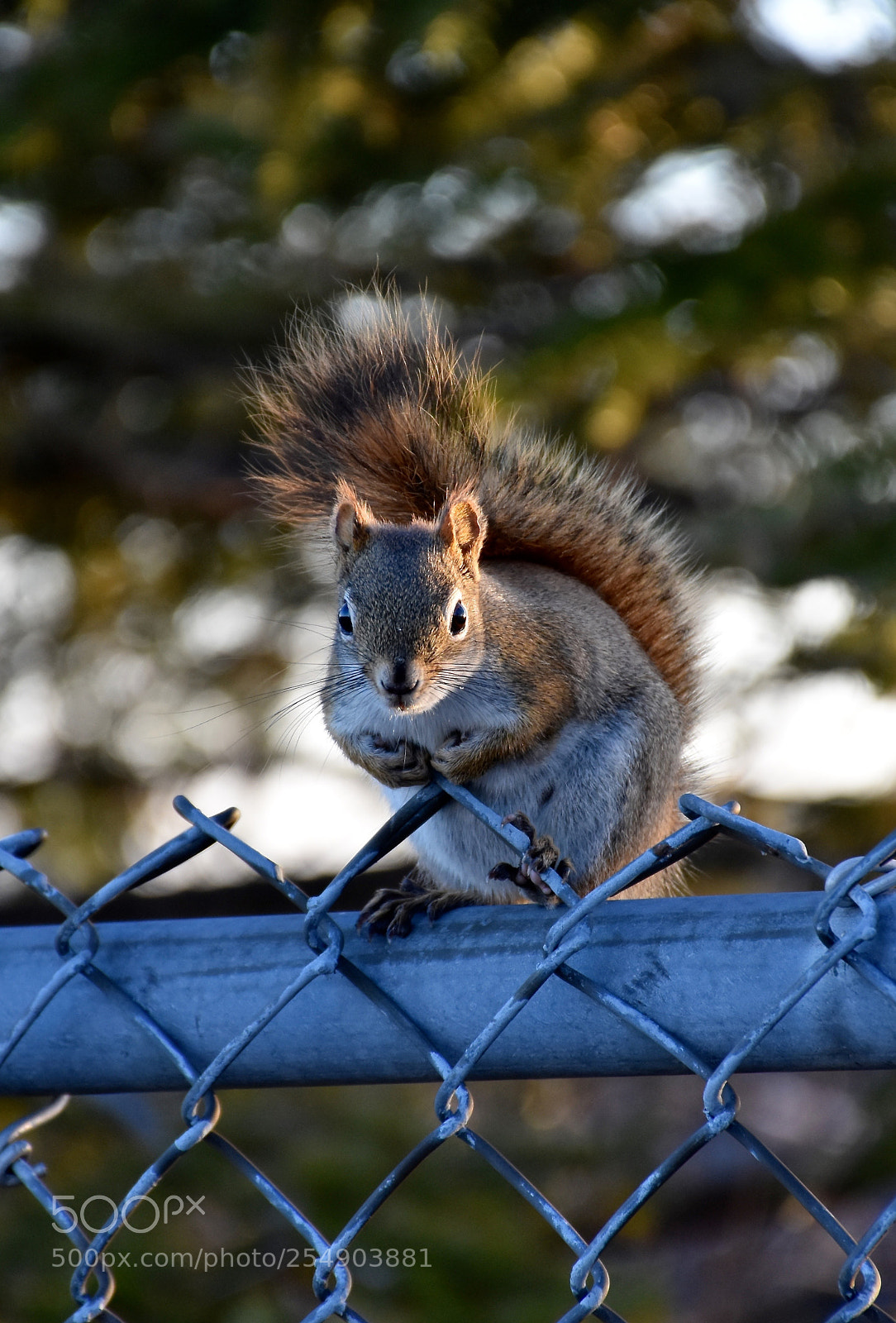 Nikon D3400 sample photo. Dsc photography
