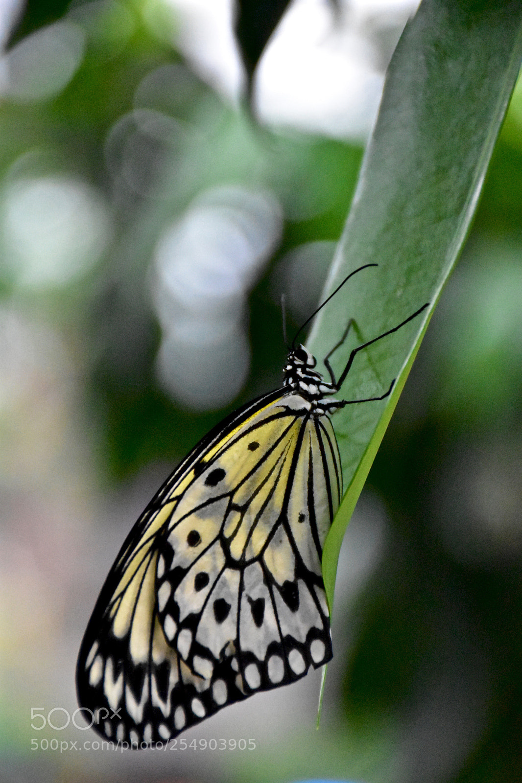 Nikon D3400 sample photo. Dsc photography