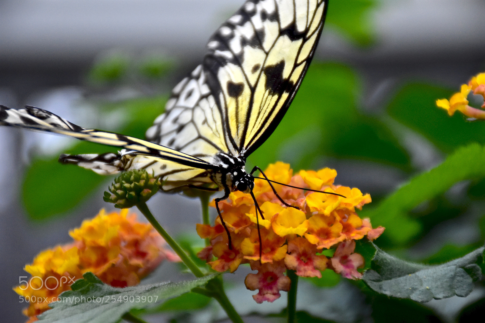 Nikon D3400 sample photo. Dsc photography