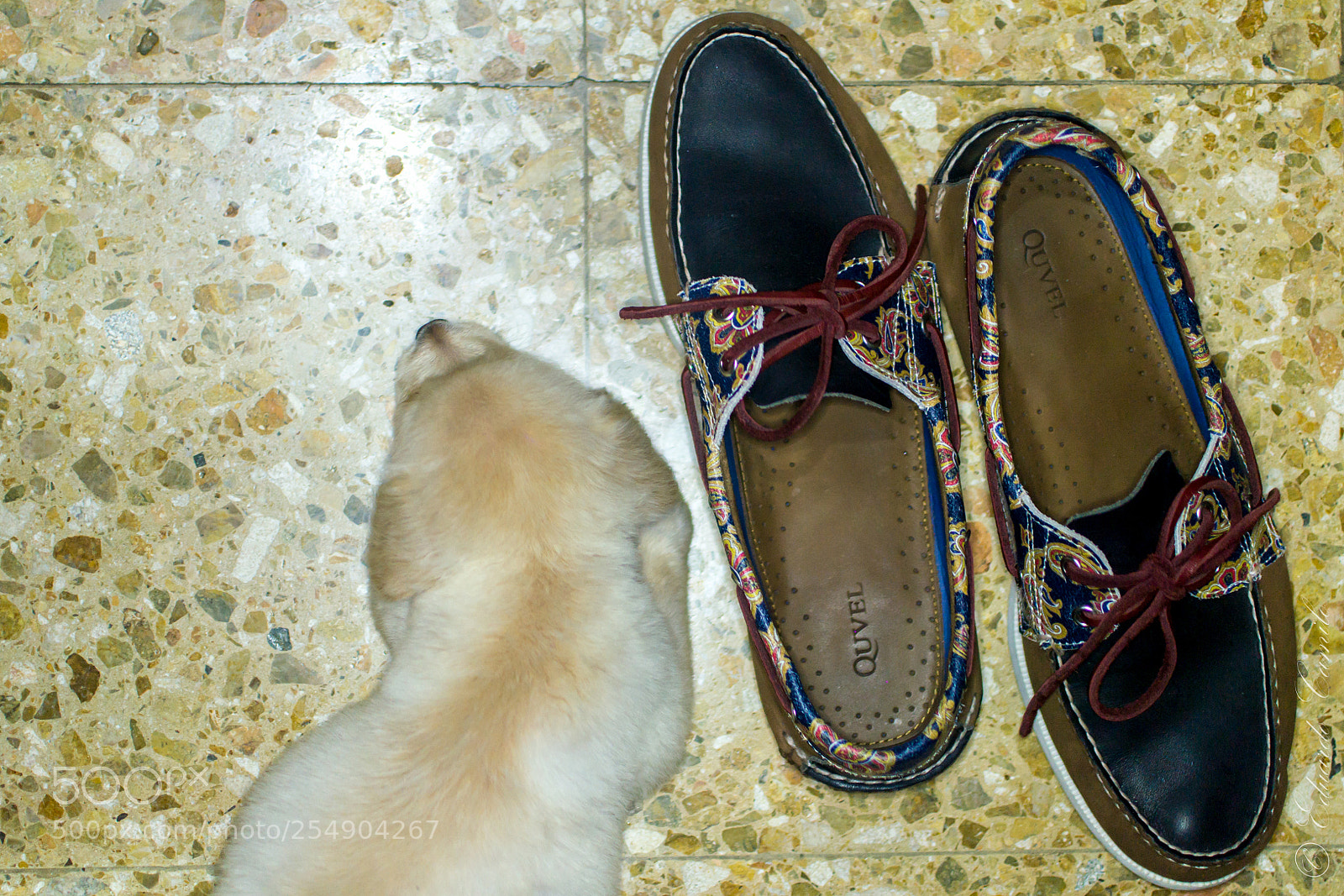 Nikon D3100 sample photo. Ec photography