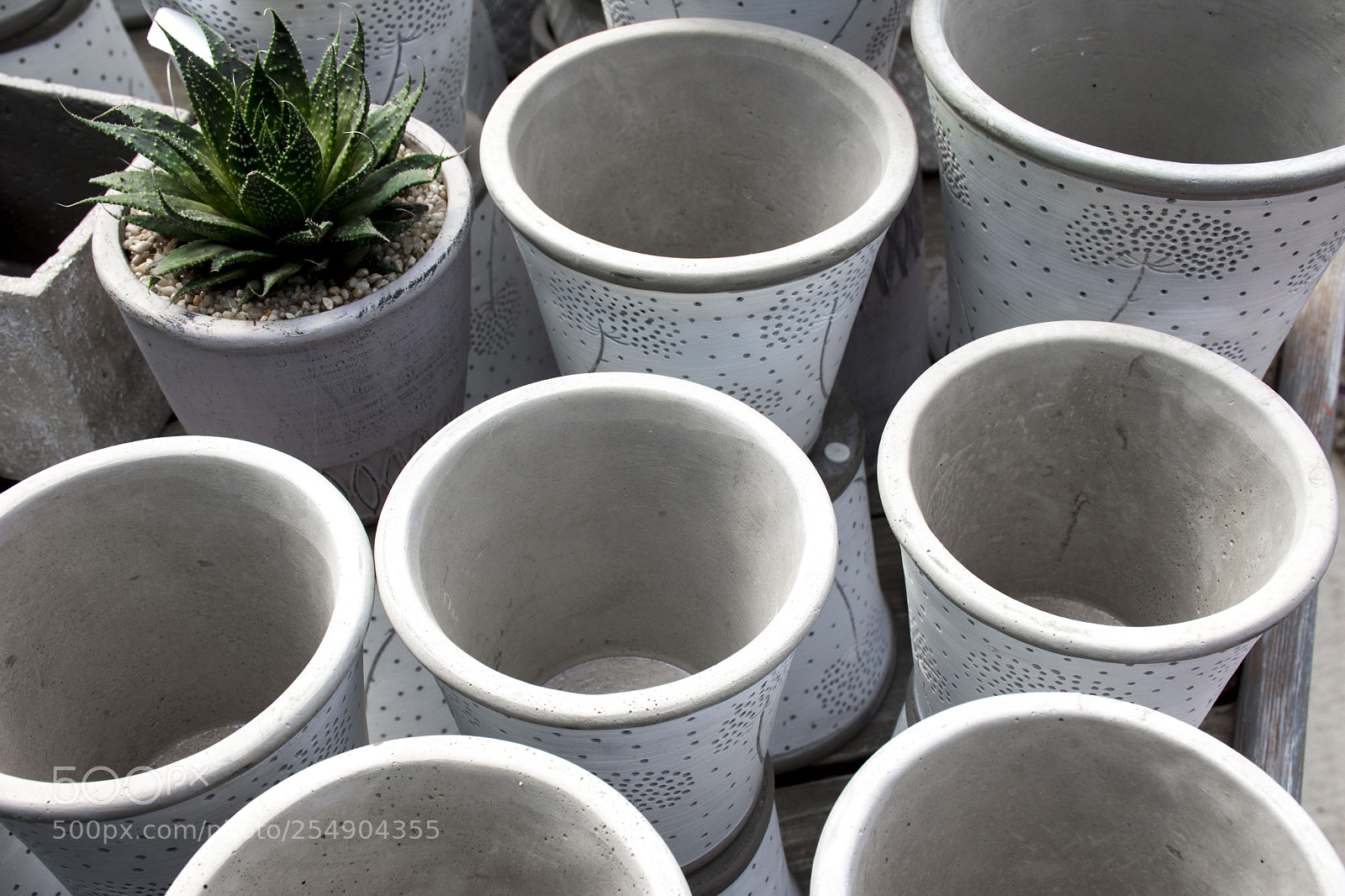 Nikon D7200 sample photo. Waiting on a friend photography