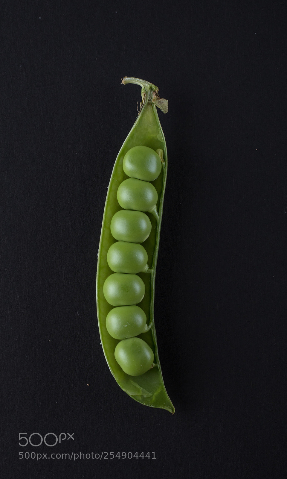 Canon EOS 6D Mark II sample photo. Still life art photography