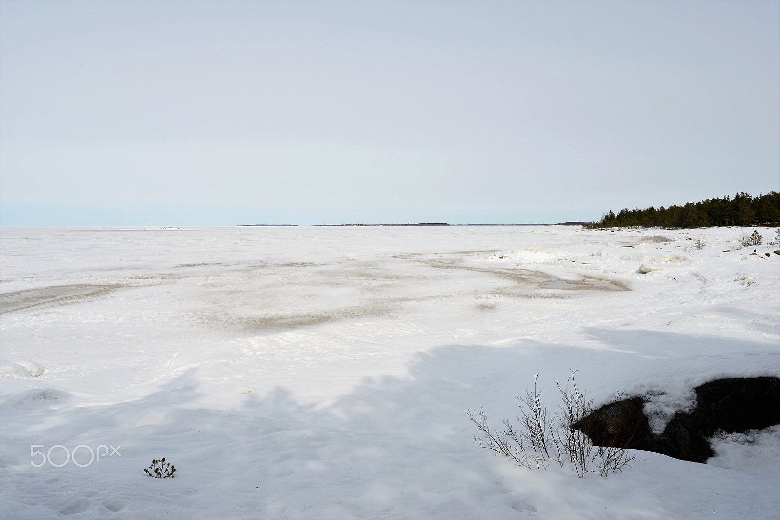 Nikon D800 sample photo. Seaside view a couple weeks ago photography