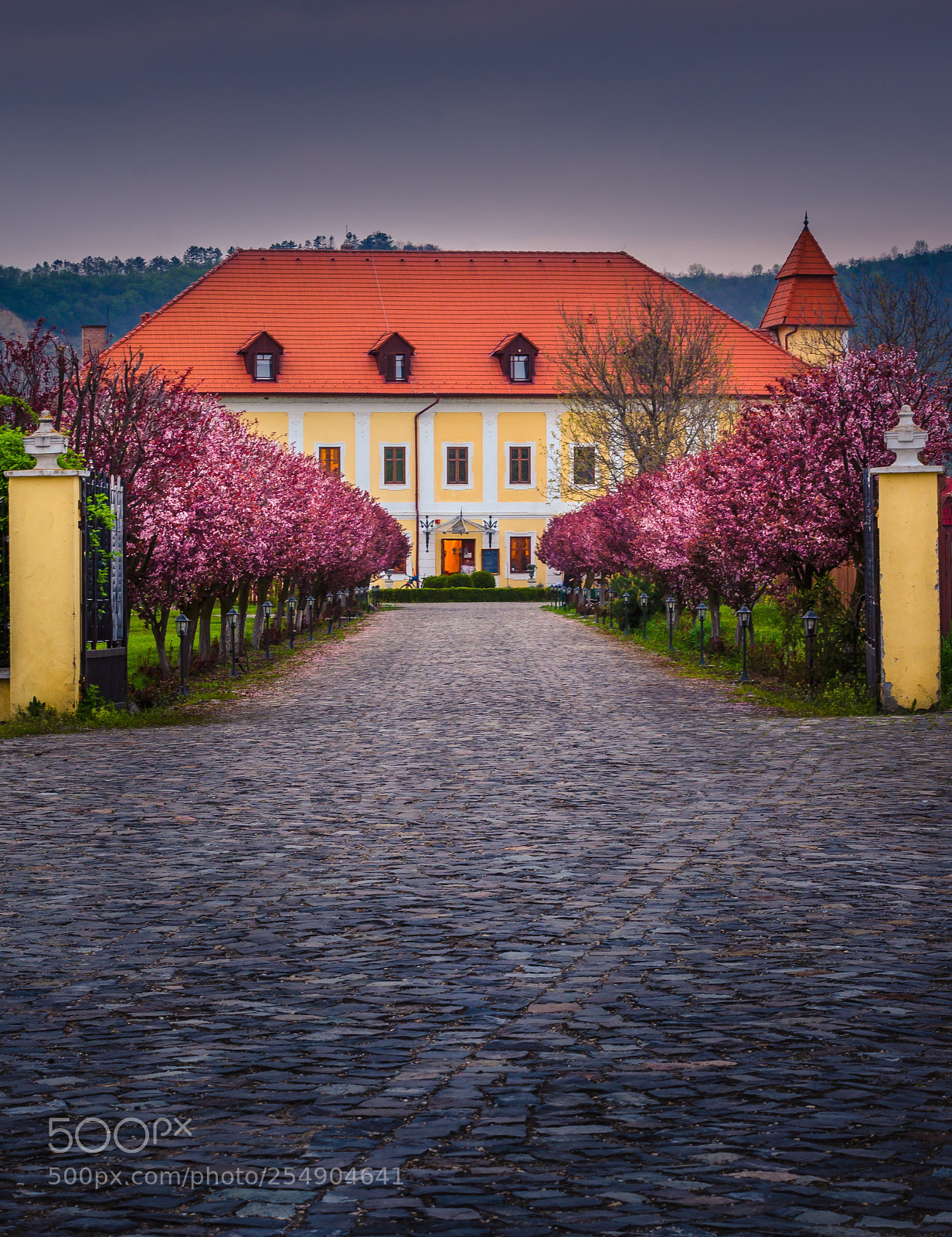 Nikon D7000 sample photo. Spring colors  photography