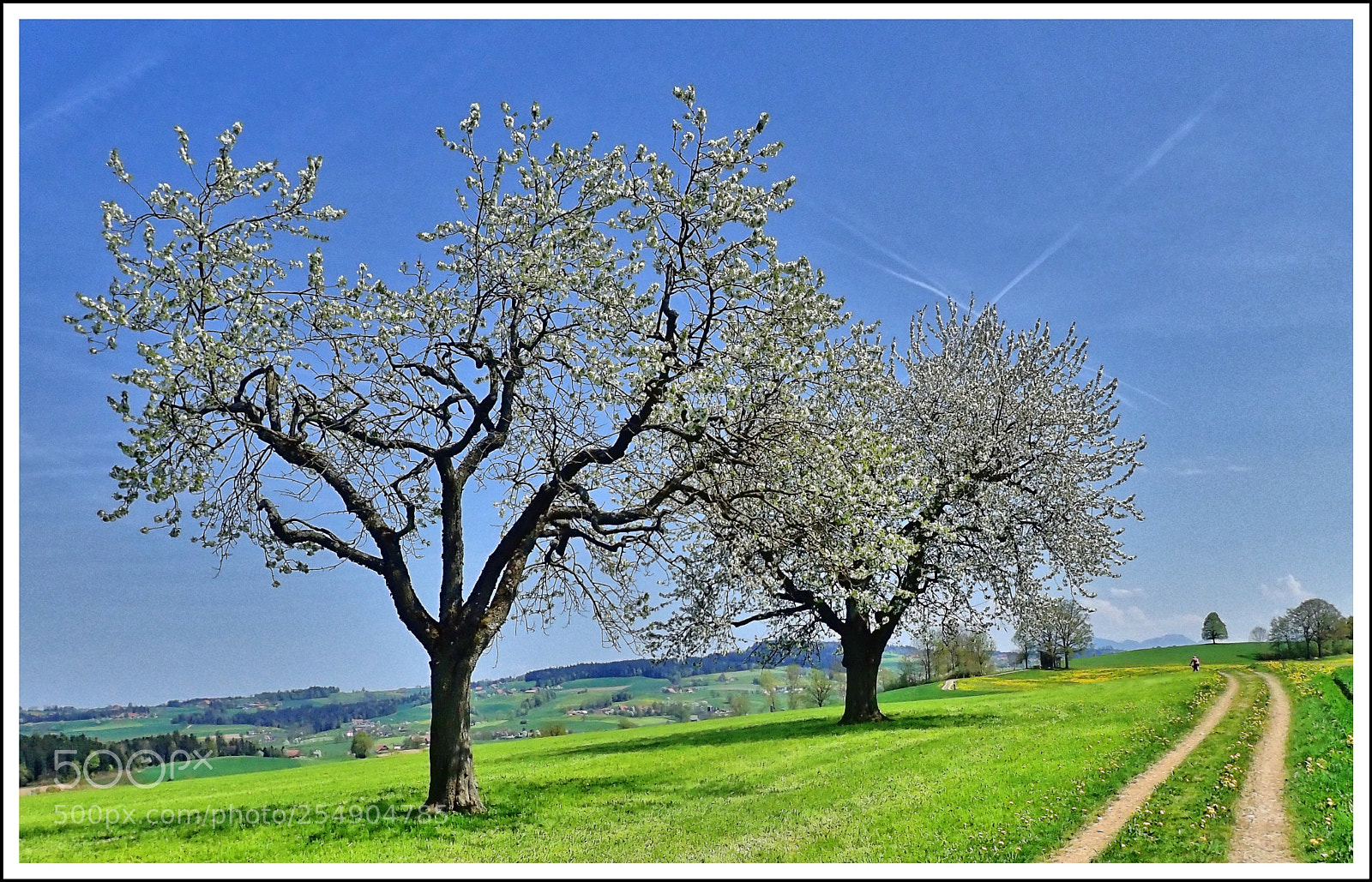 Olympus TG-5 sample photo. S p r i photography