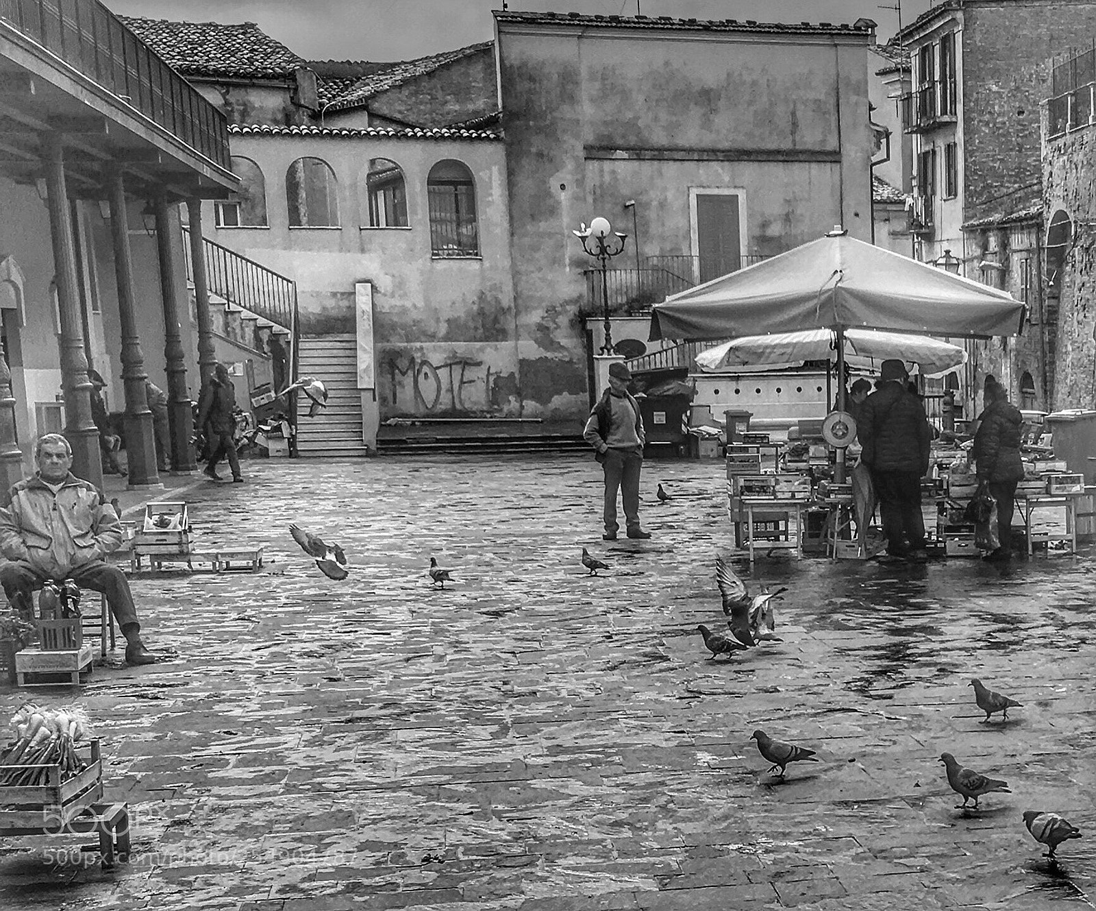 Apple iPhone 6s sample photo. Black and white capture photography