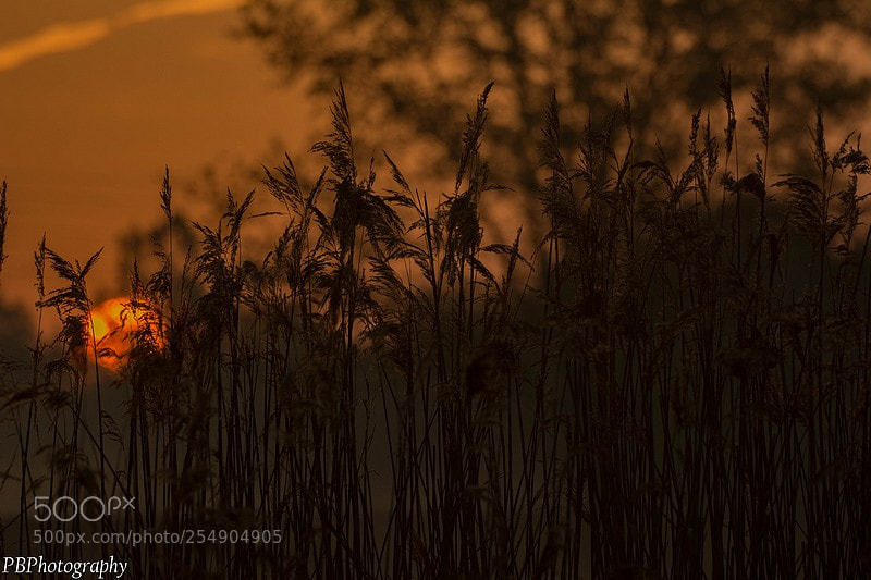 Nikon D7100 sample photo. Sunrise photography