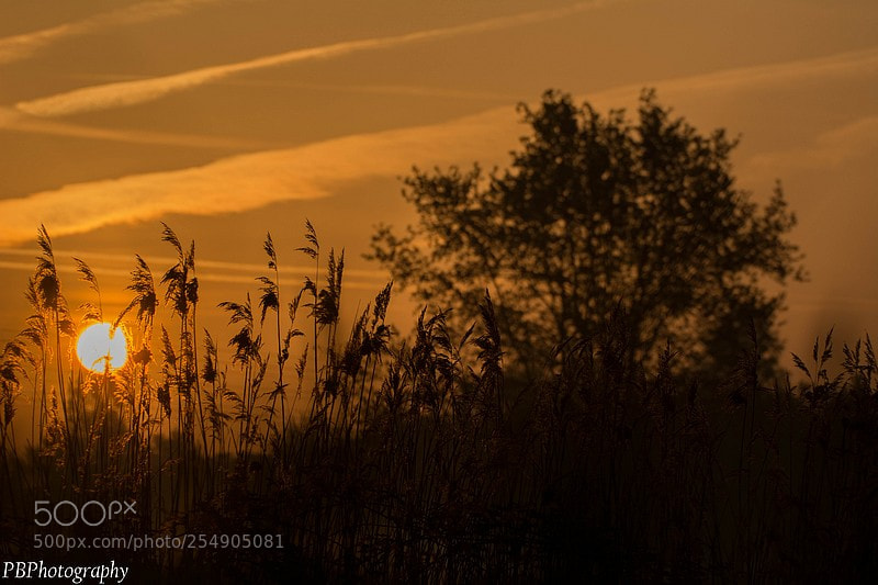 Nikon D7100 sample photo. Sunrise photography