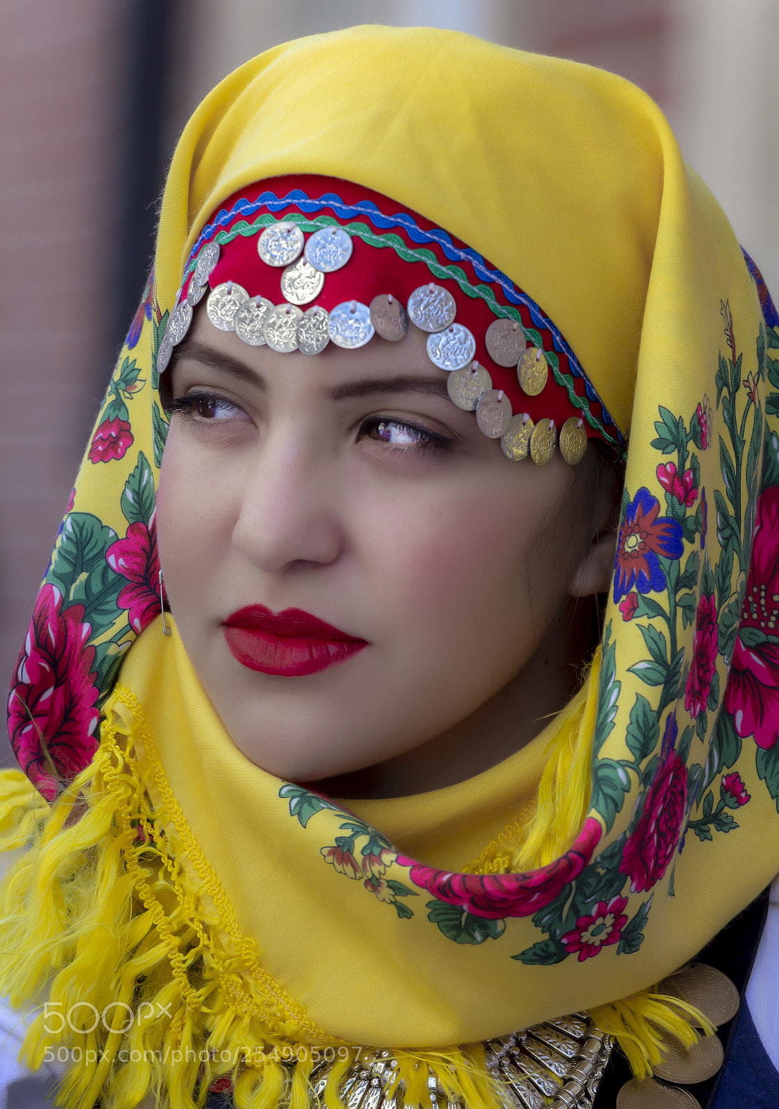 Canon EOS 60D sample photo. Greek independence day nyc photography
