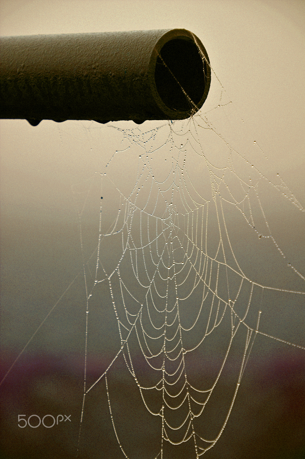Nikon D5200 sample photo. Spider cave photography