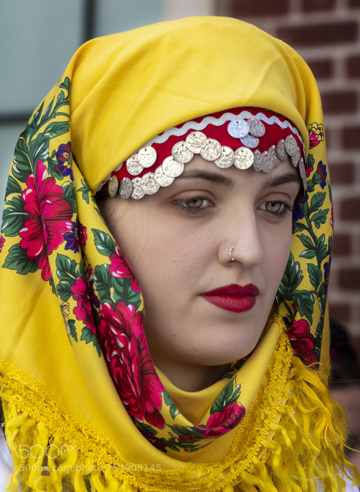 Canon EOS 60D sample photo. Greek independence day nyc photography