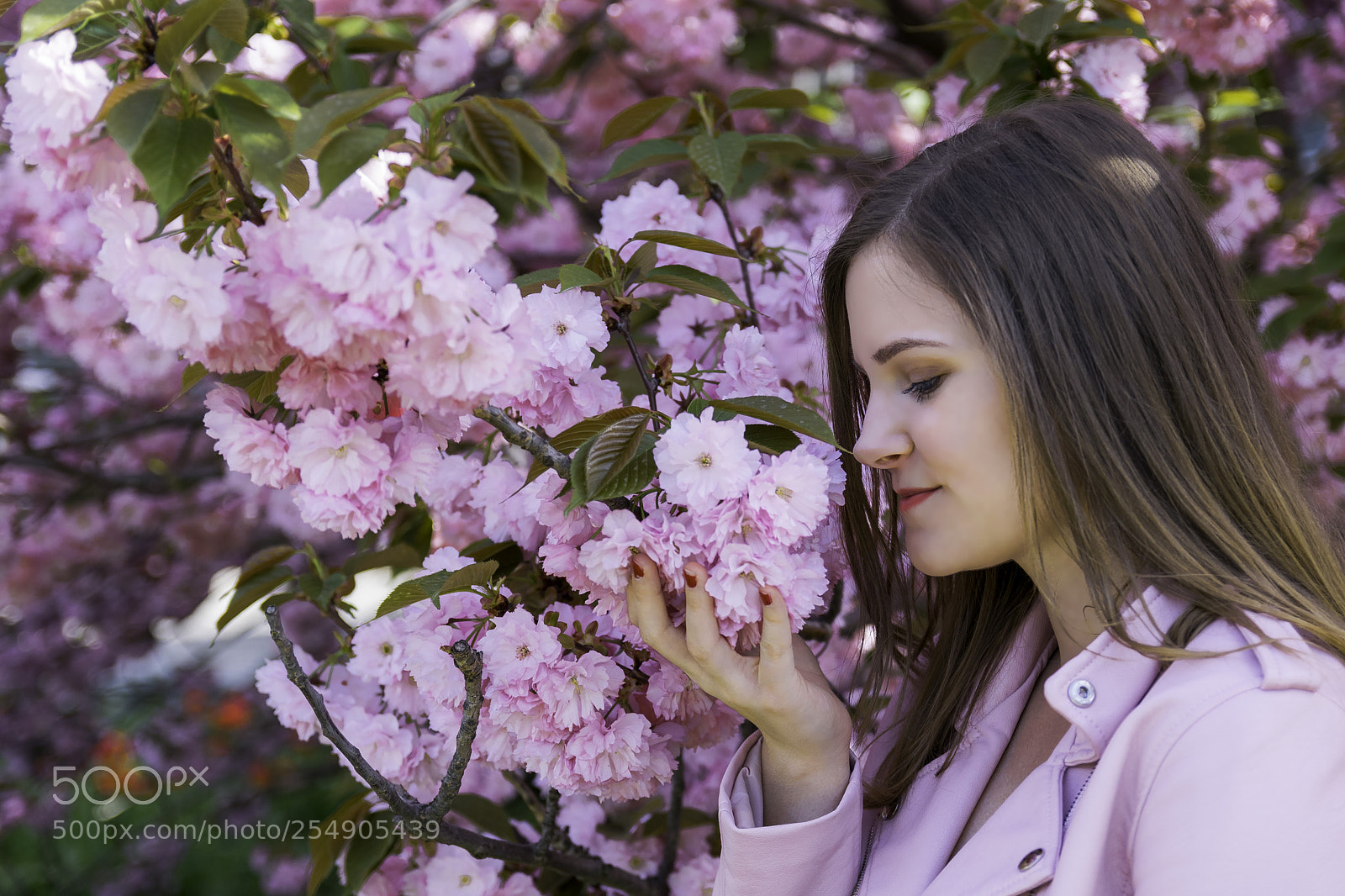 Nikon D3300 sample photo. Spring girl photography