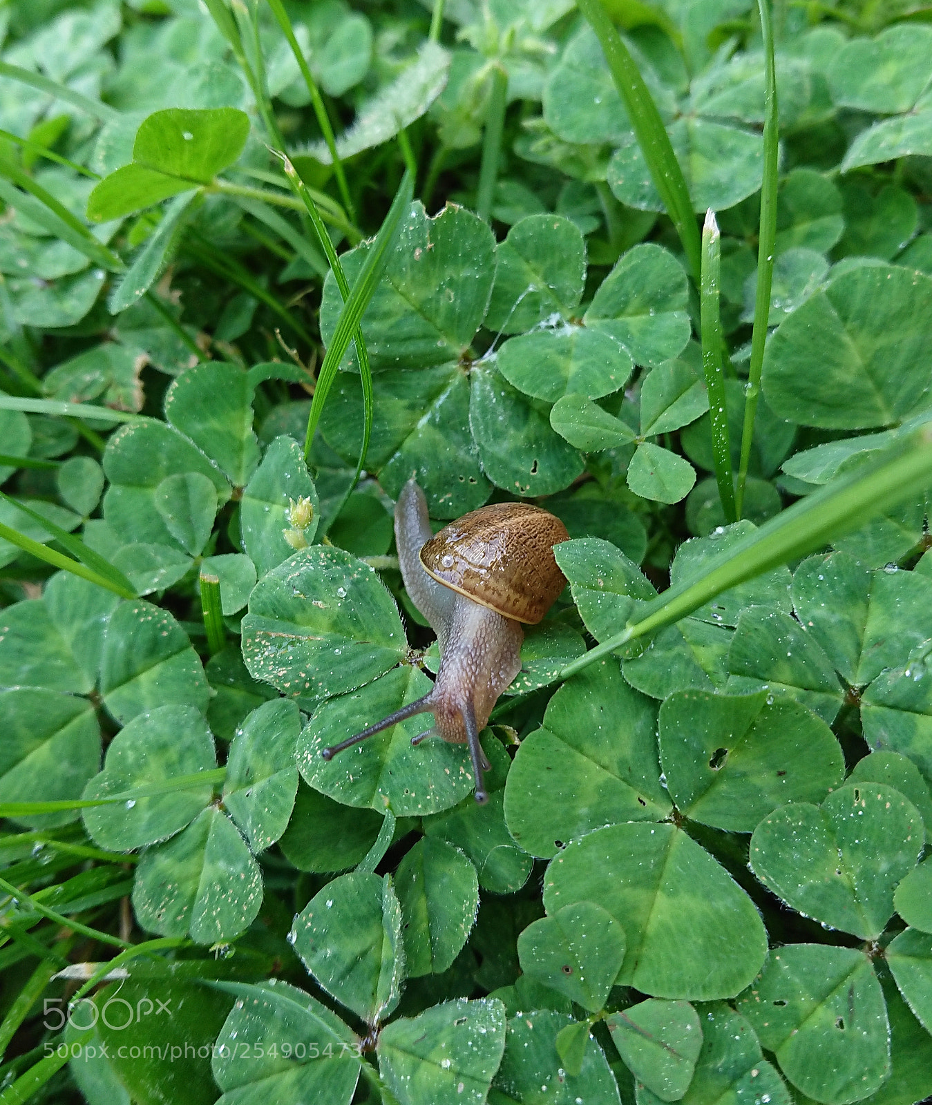Sony Xperia XZ Premium sample photo. Untitled photography