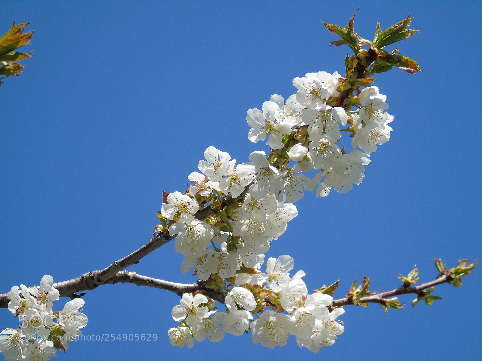 Sony Cyber-shot DSC-H400 sample photo. Beautiful views photography