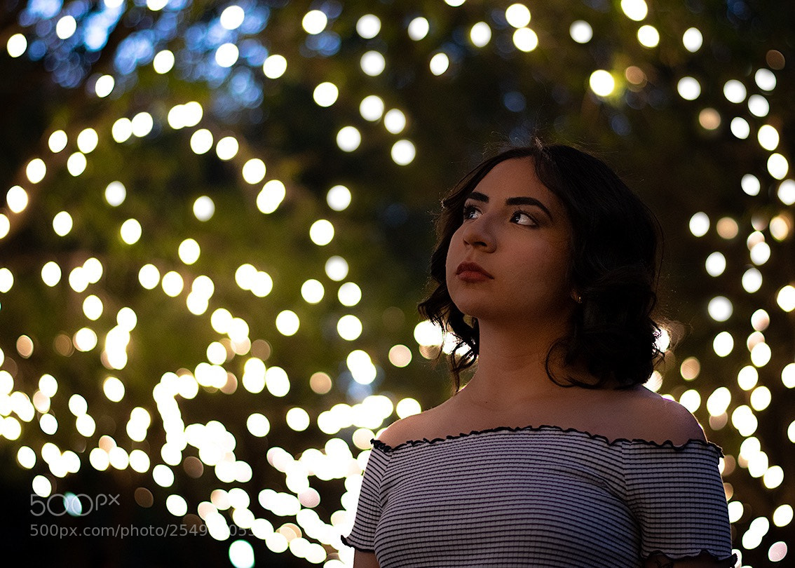 Nikon D3400 sample photo. Untitled photography