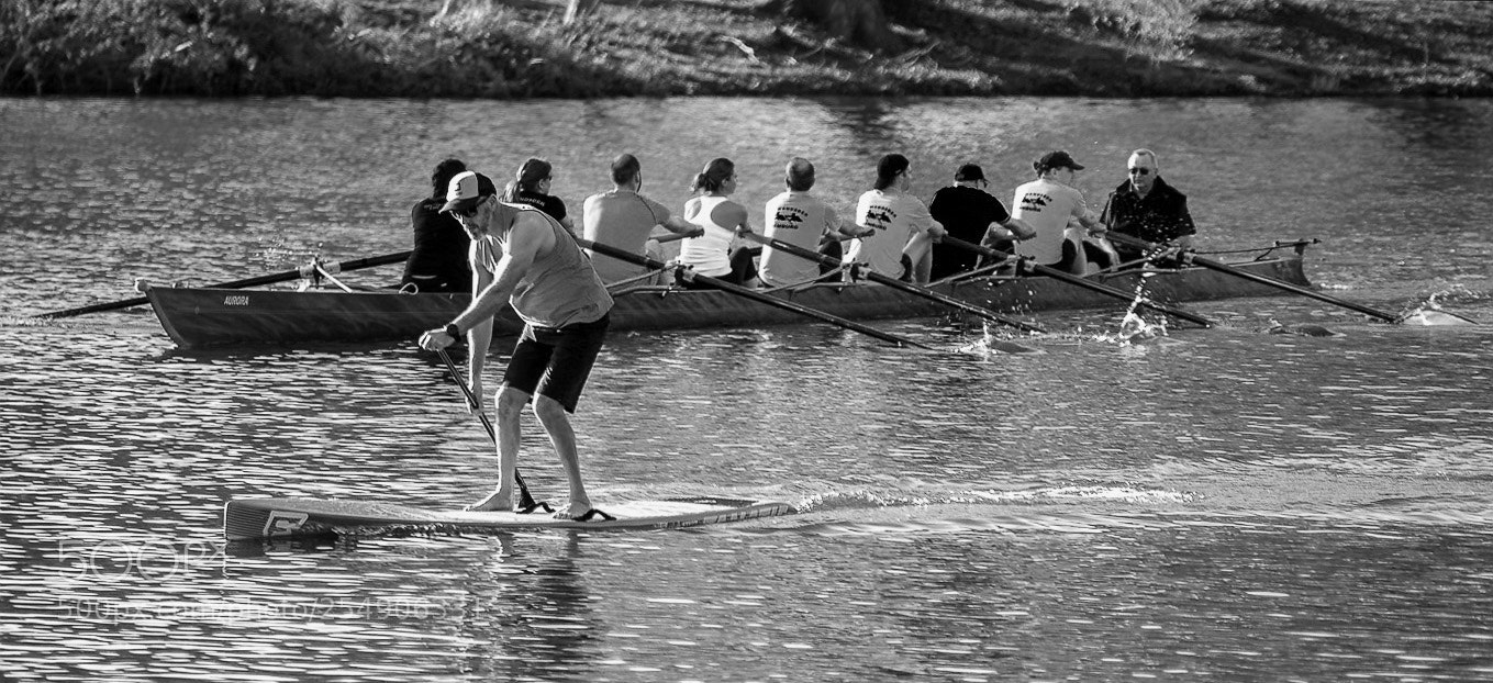 Sony a7 sample photo. The race photography