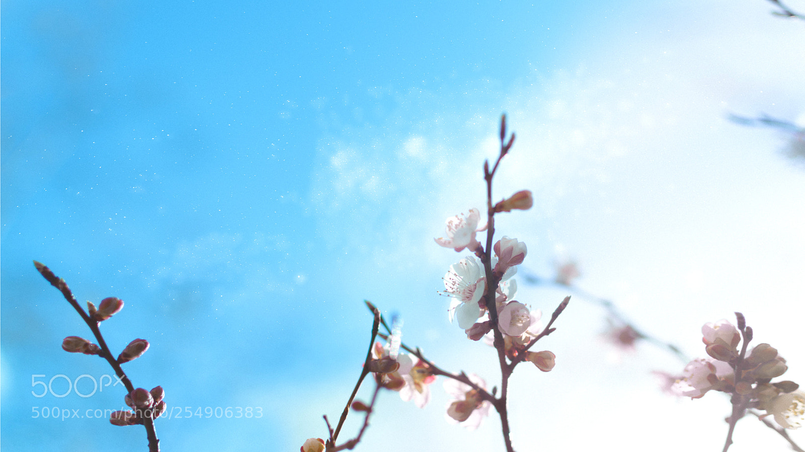 Nikon D7000 sample photo. Ether skies photography