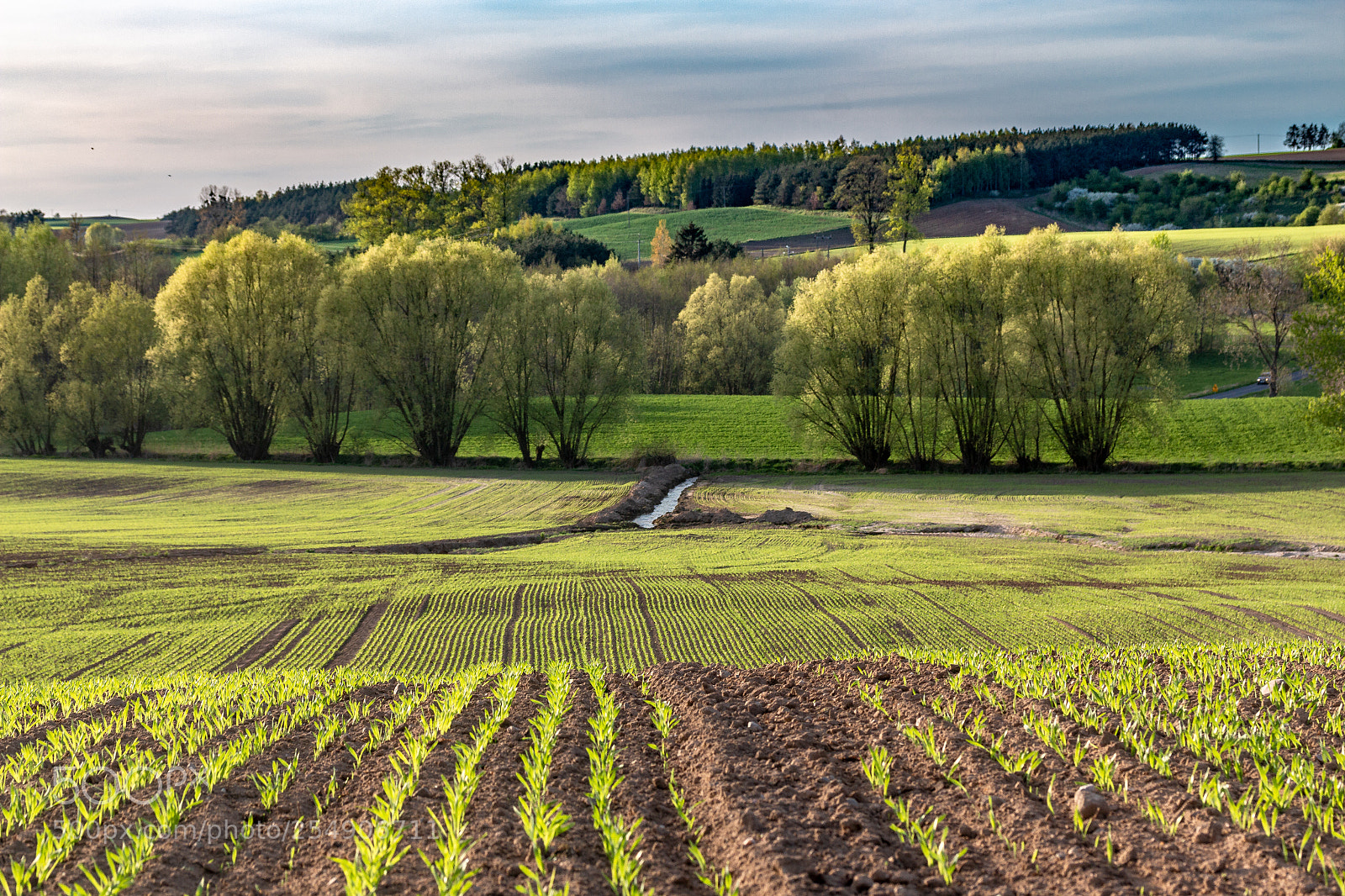 Canon EOS 70D sample photo. Field photography