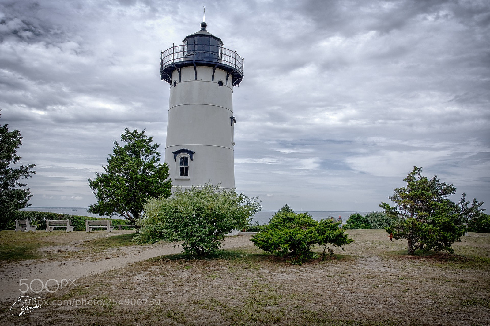 Nikon D7200 sample photo. Oyamam_20170815-130445zkrxv1 photography