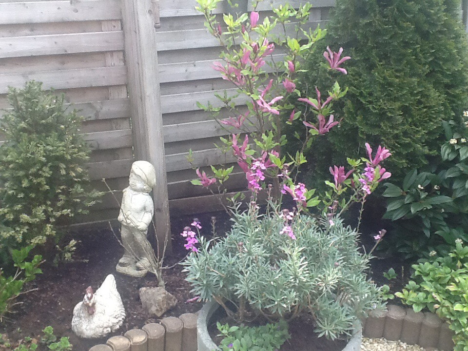 Apple iPad 2 sample photo