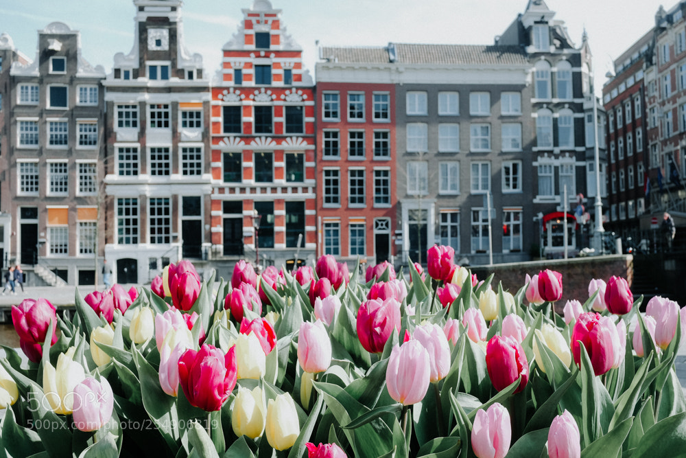 Fujifilm X-T10 sample photo. Amsterdam photography