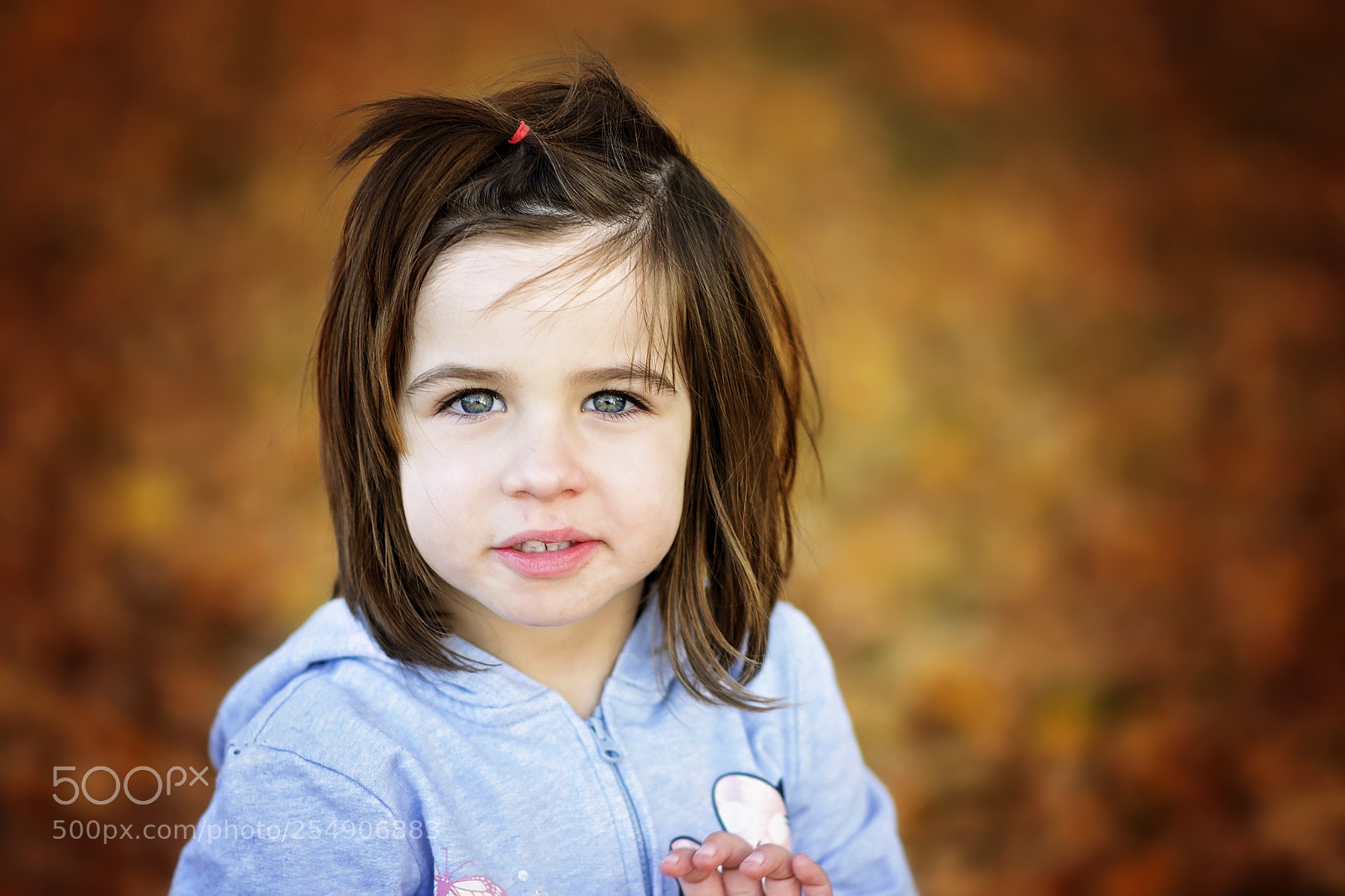 Nikon D3100 sample photo. Rosalia photography