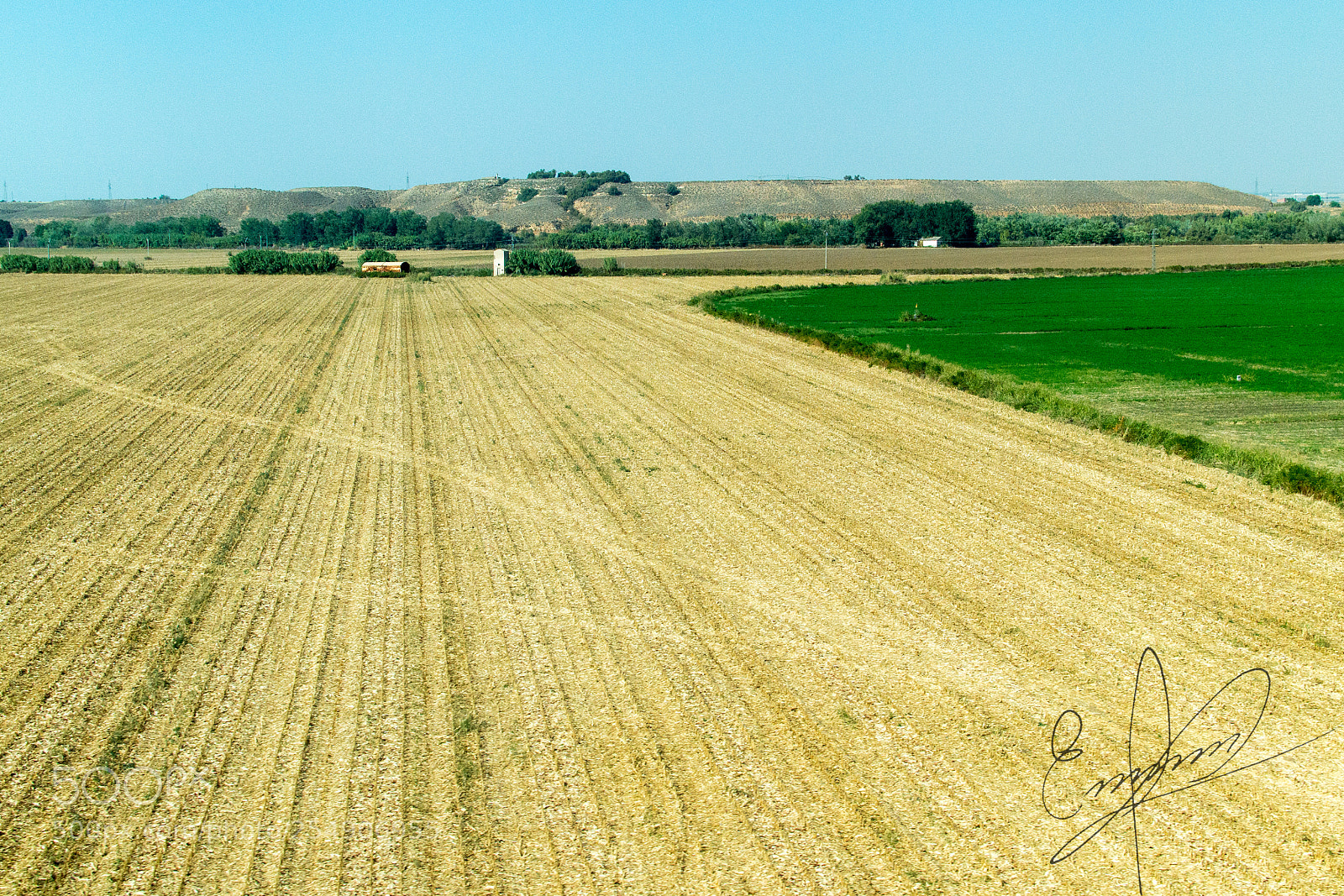Nikon D3100 sample photo. Ec photography