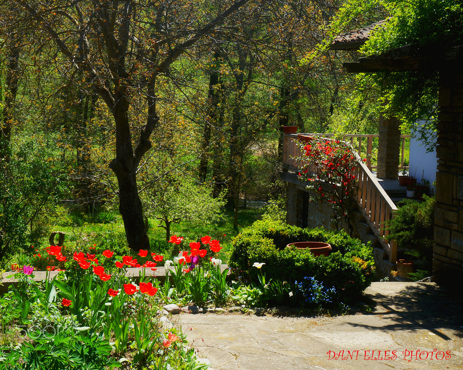 Sony Alpha NEX-3N sample photo. ''secret garden''.jpg photography