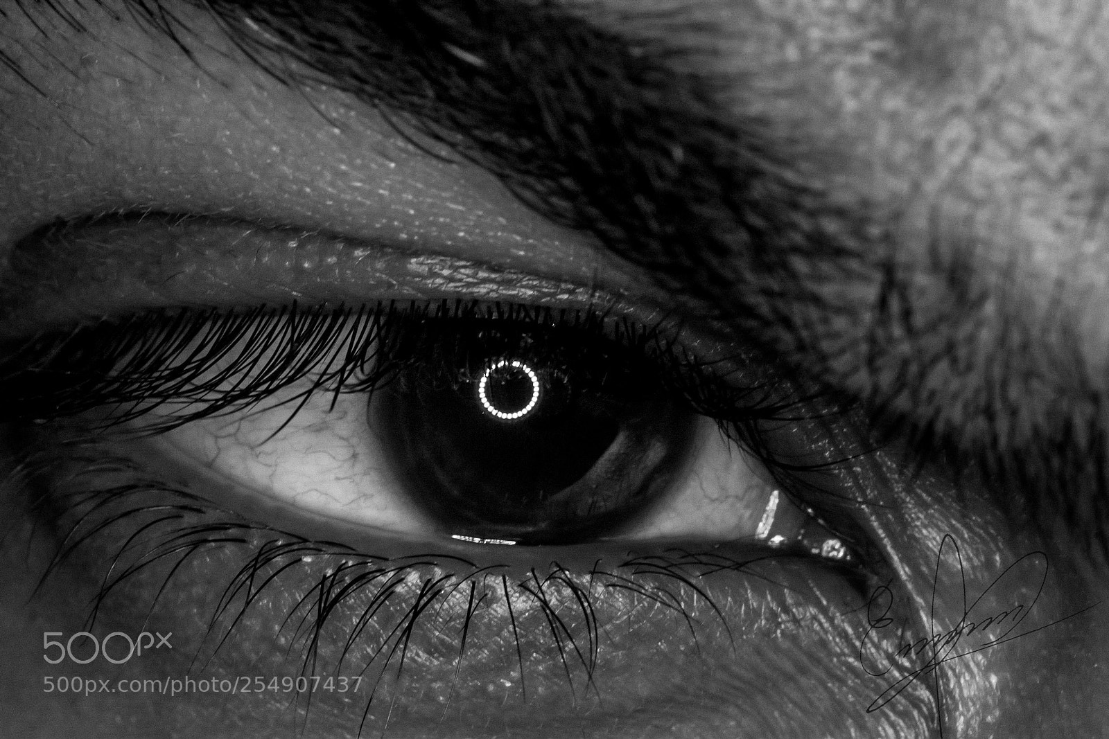Nikon D3100 sample photo. Ec photography