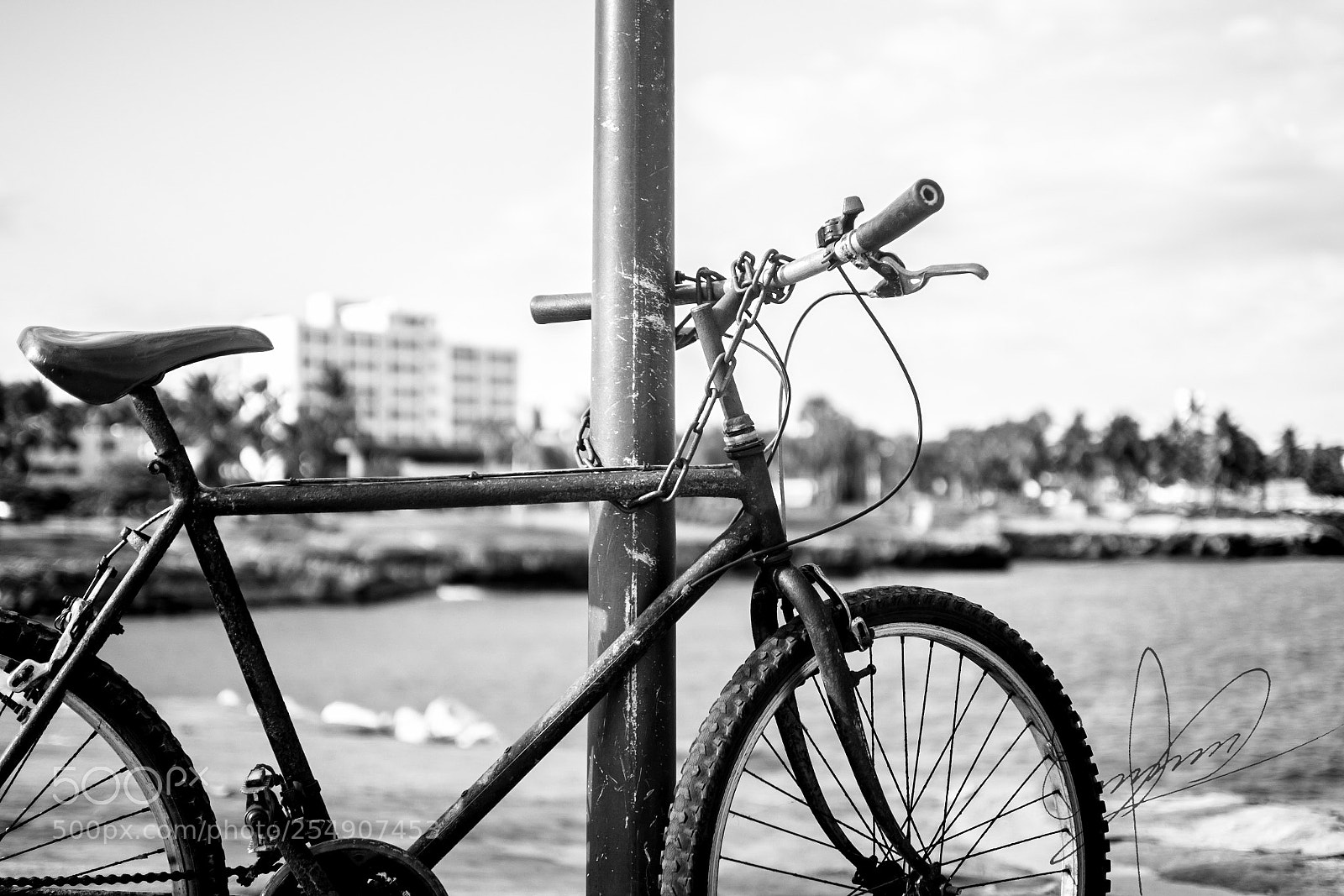 Nikon D3100 sample photo. Ec photography
