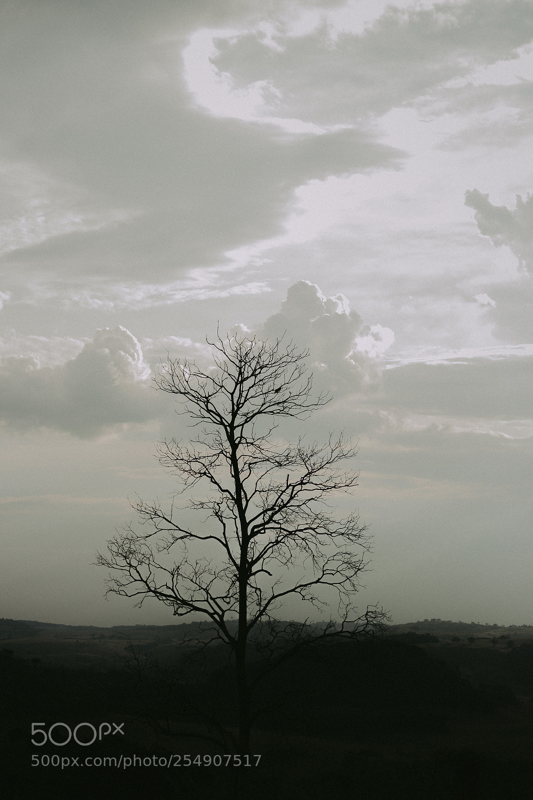 Canon EOS 700D (EOS Rebel T5i / EOS Kiss X7i) sample photo. Lonely photography