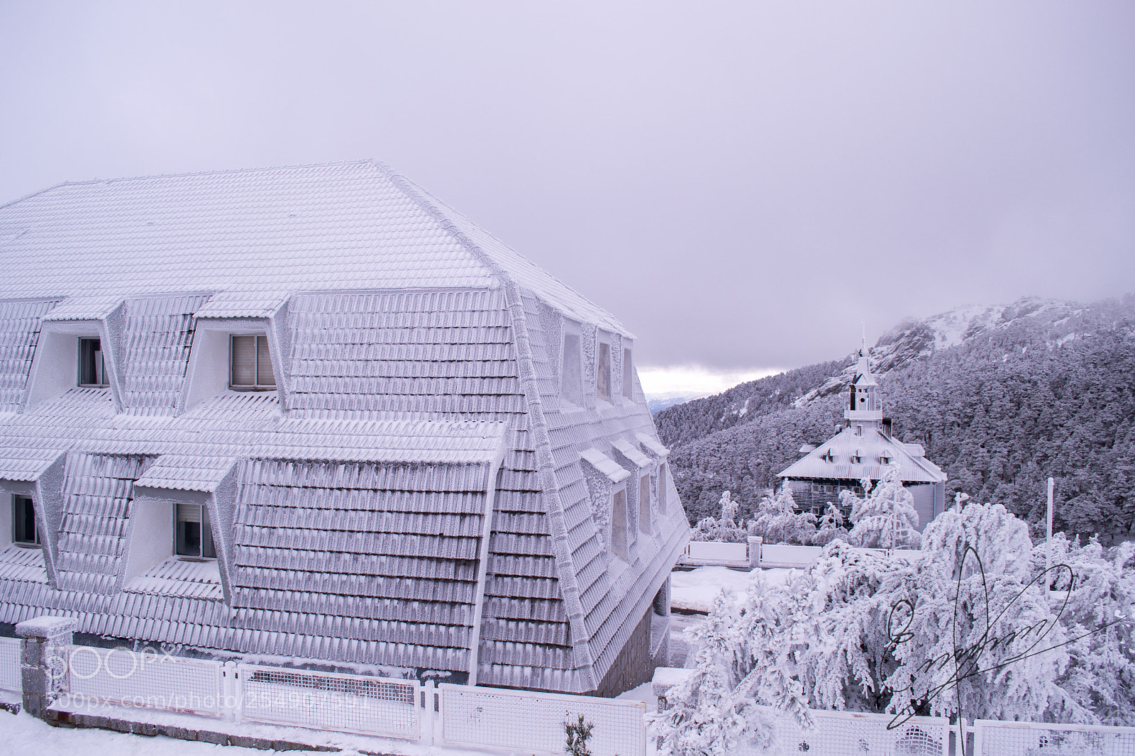 Nikon D3100 sample photo. Ec photography