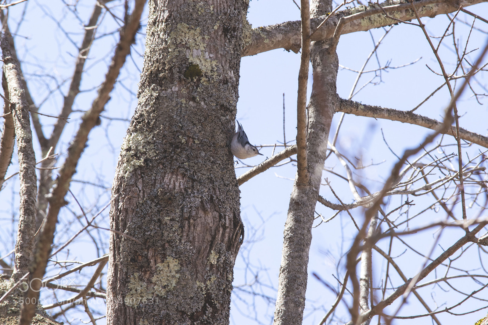 Nikon D3300 sample photo. 5.jpg photography
